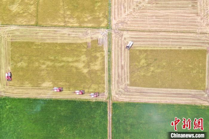 （高質(zhì)量發(fā)展調(diào)研行）科技賦能“江南糧倉”農(nóng)業(yè)“智慧”轉型